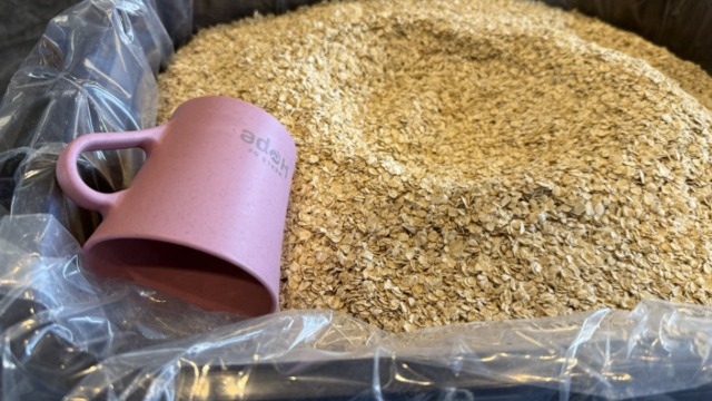 Voluntarios preparan paquetes de comida para bancos de alimentos locales en el Día Nacional de Servicio y Conmemoración, el 11 de septiembre de 2026. 